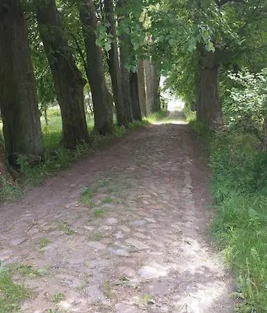 Dom Na Mazurach Pilec- Apartment *