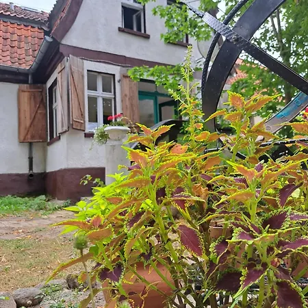 Apartment Dom Na Mazurach Pilec-