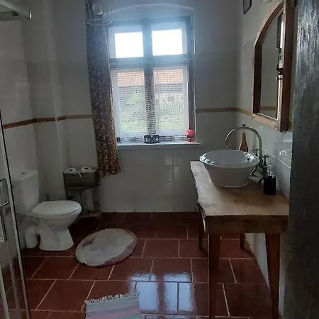Dom Na Mazurach Pilec- Apartment