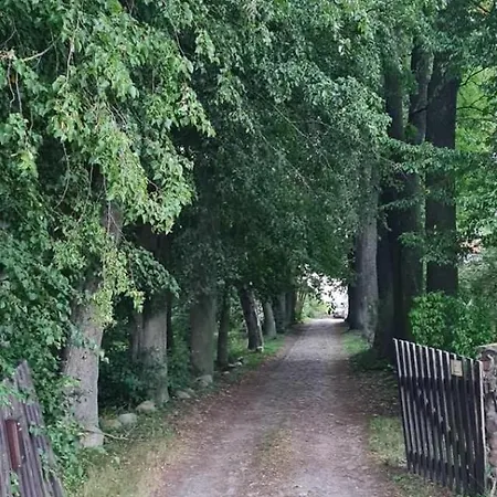 Dom Na Mazurach Pilec- Apartment *