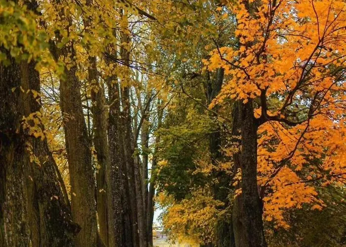 Dom Na Mazurach Pilec- Apartment *