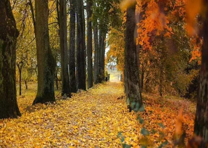 Dom Na Mazurach Pilec- Apartment *